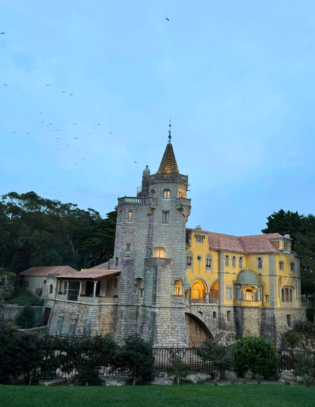 620 pixels placeholder image